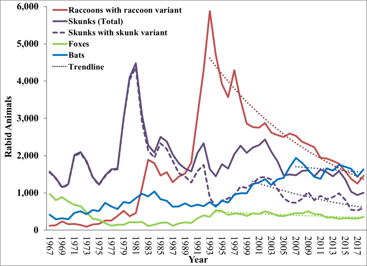Rabies virus variants associated with the major mesocarnivore species line chart