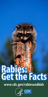 Rabies information for kids: Get the Facts. Visit www.cdc.gov/rabiesandkids for more information.