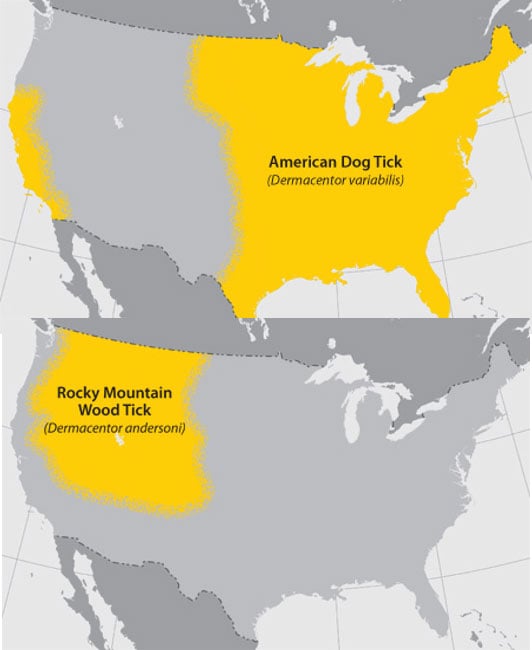 2 maps of the United States.  The top map shows where in the U.S. is the American Dog Tick located.  The entire eastern half of the country as well as California are highlighted.  The bottom map shows where the Rocky Mountain Wood Tick can be found.  The North West part of the U.S. is highlighted.