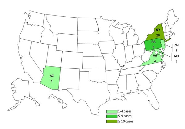 Persons infected with the outbreak strain of Salmonella Enteritidis, by state
