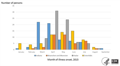 Persons infected with the outbreak strains of Salmonella Enteritidis, Hadar, Indiana, Muenchen, or Muenster, by month of illness onset