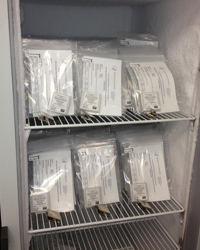 Kits de prueba para la detección de infecciones por el H7N9 en humanos