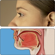 Woman's profile and anatomical drawing of mouth and pharynx.