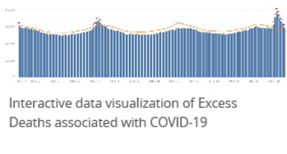 Excess deaths associated with COVID-19 with high and low fluctuation lines