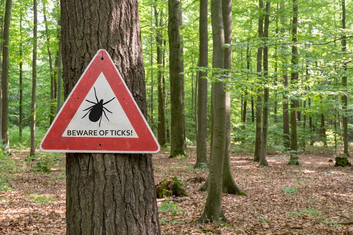 Beware of Ticks sign attached to a tree