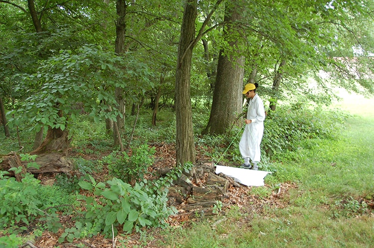 A researcher dragging for ticks