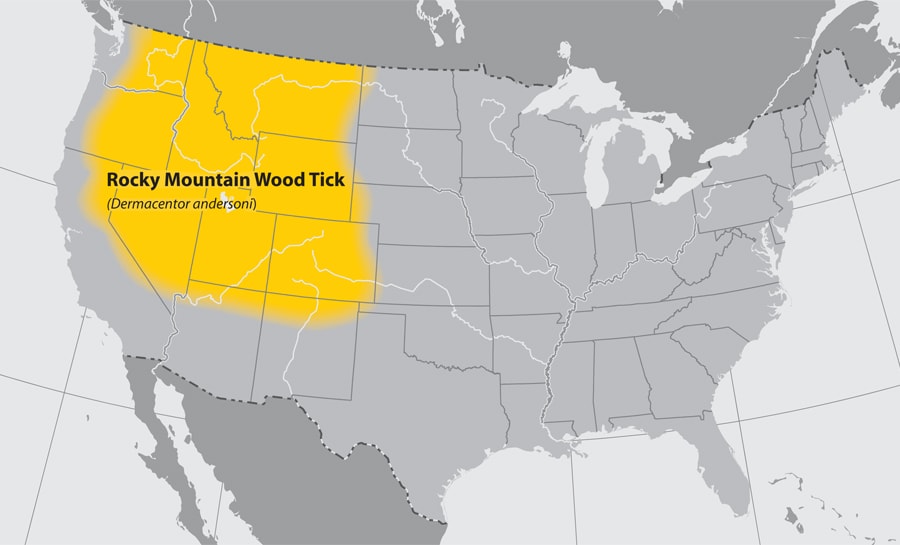 Approximate distribution of the Rocky mountain wood tick
