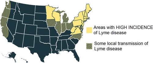 US map showing areas with high incidence of Lyme disease, and areas with local transmission