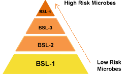 Pyramid showing the four BSLs with the lowest risk microbes at the bottom, representing BSL-1, and the highest risk microbes at the top, representing BSL-4.