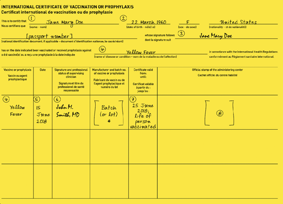 Figure 4-02. Example international certificate of vaccination or prophylaxis (ICVP)