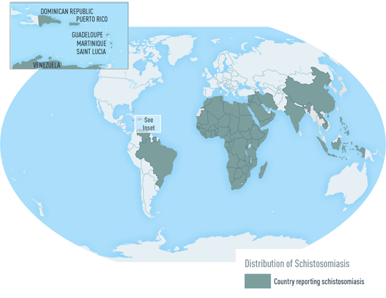 Map 4-11. Distribution of schistosomiasis