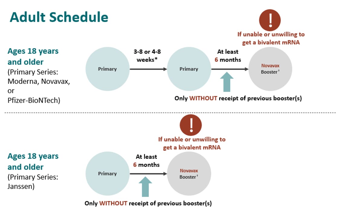 Chart showing Novavax adult scheduling