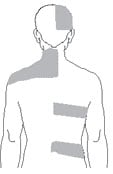 clipart drawing of the back of a man