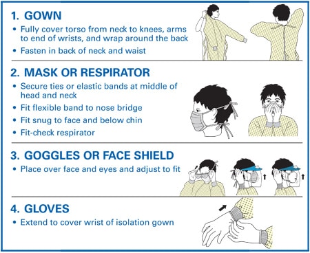 Infographic: Sequence for putting on and removing personal protective equipment (PPE)