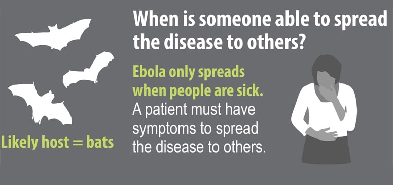 You can't get Ebola through air, water, or food (Infographic)