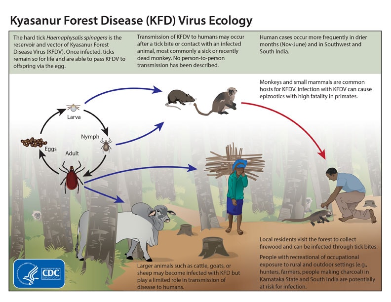 Kyasanur Forest Virus Ecology poster