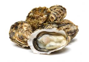 Photo of oysters.