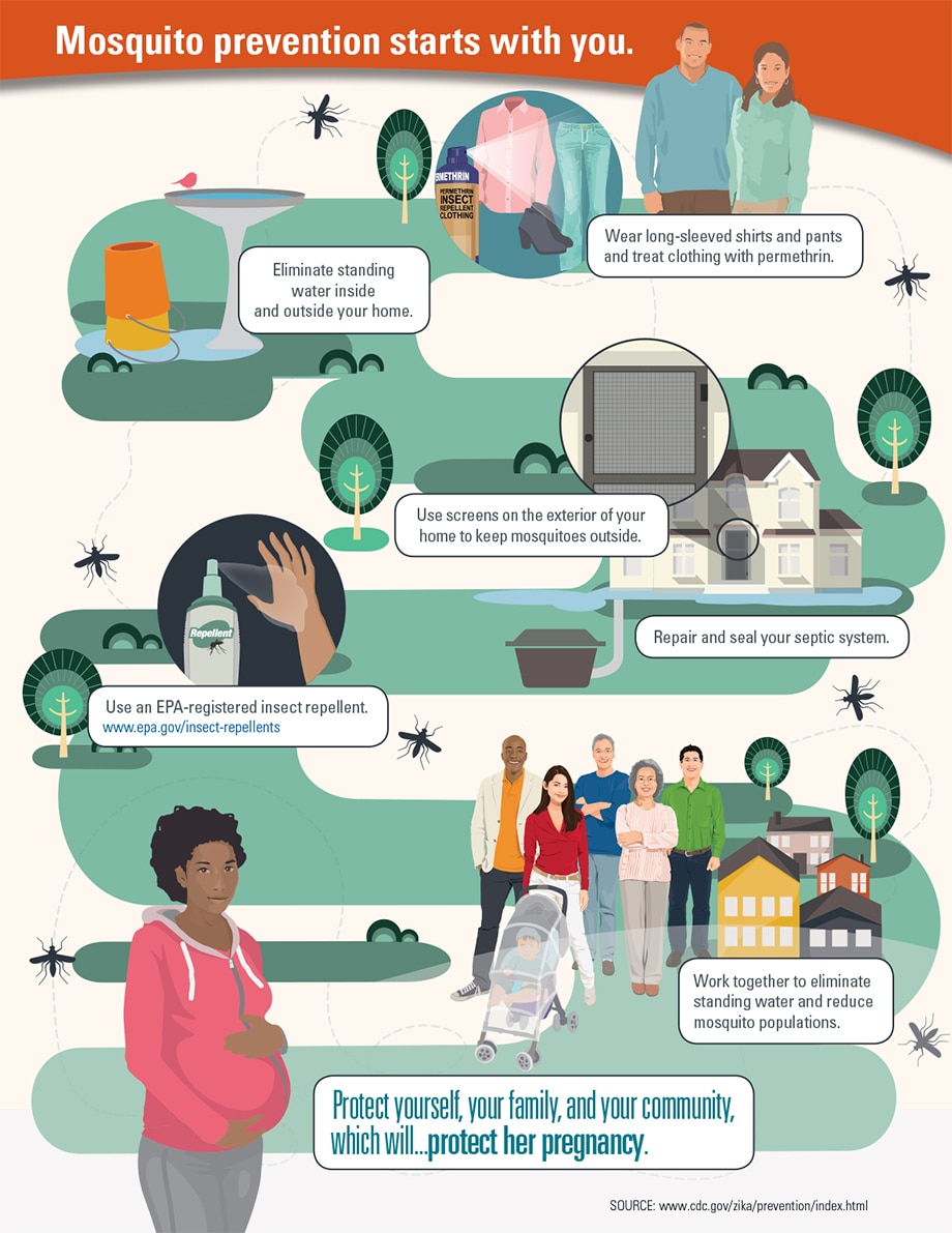 Graphic: Mosquito prevention starts with you