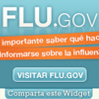 2009 Flu Info Widget (en Espa&ntilde;ol)