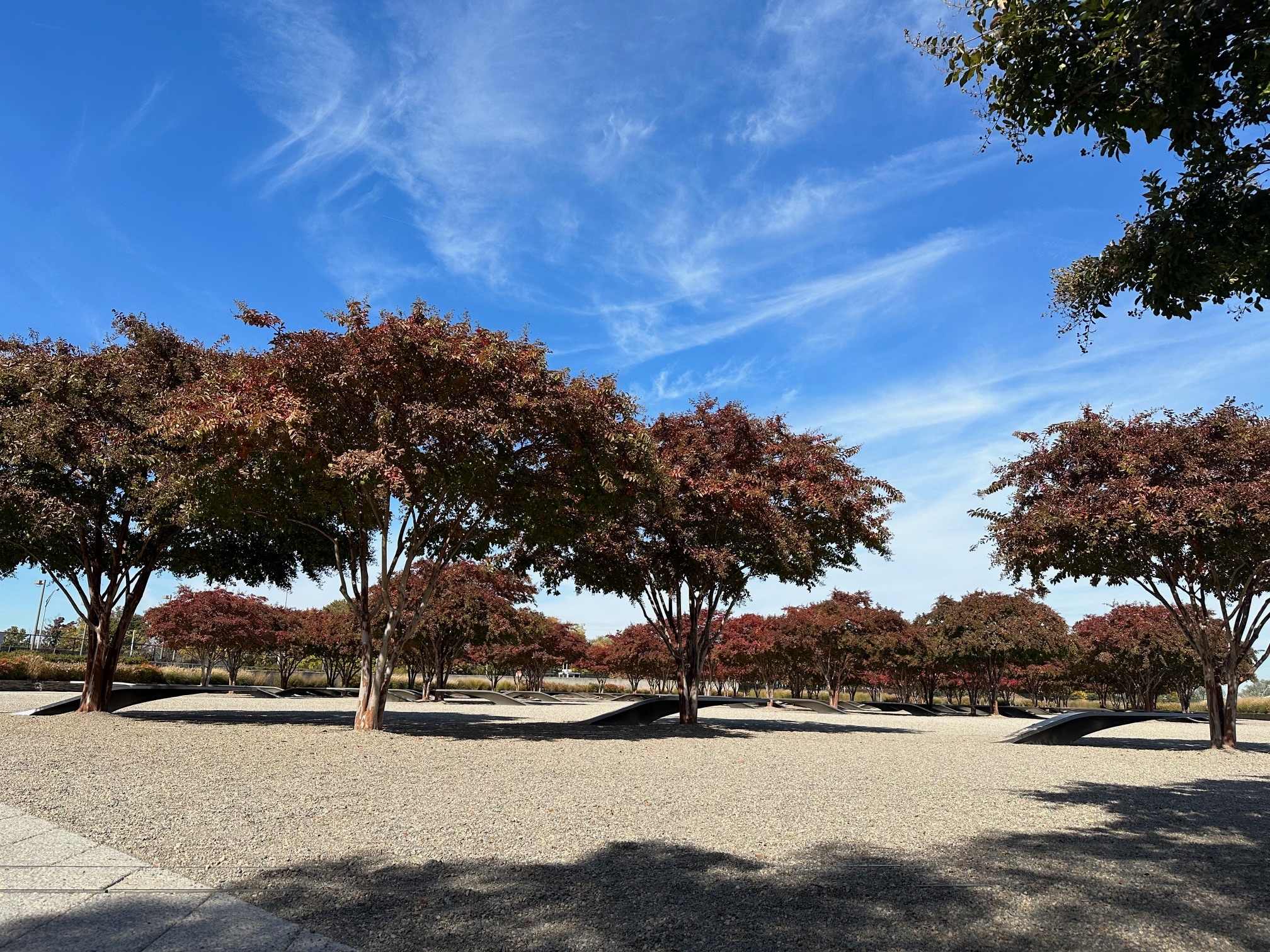 Trees against a blue sky at the Pentagon Memorial.