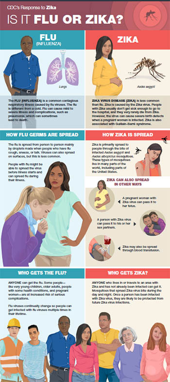 Is it Flu or Zika? fact sheed thumbnail