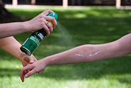 Person applying insect repellant to a child's arm