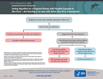 	Pregnant women with history of travel to an area with ongoing zika viurs transmission infographic thumbnail