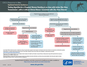 	Pregnant women residing in an area with ongoing zika virus transmission infographic thumbnail