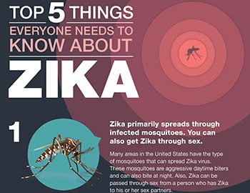  Top five things everyone needs to know about Zika fact sheet thumbnail
