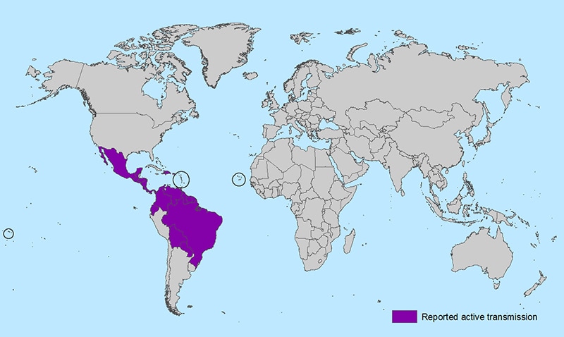 World map showing countries and territories with reported active transmission of Zika virus (as of February 1, 2016). Countries are listed in the table below.