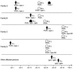 Thumbnail of Timing and characteristics of patients and contacts in a study using the multilocus variable-number tandem repeat (MLVA) typing method to show evidence of clonal spread of a unique strain of Mycoplasma pneumoniae among children attending a French primary school and their household contacts. Dates correspond to the date of specimen collection during December 30, 2010–February 1, 2011. Figures shapes indicate affected children, by age in years; white house shapes indicate asymptomatic