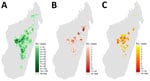 Thumbnail of Geographic distributions of bubonic plague (A), pneumonic plague (B), and infection clusters (C), Madagascar, 1998–2016.