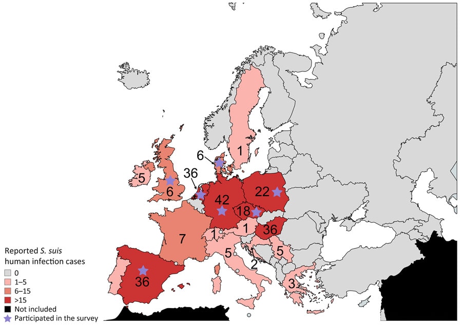 Reported cases of human Streptococcus suis infections across Europe during 1990–2022. We pooled reported cases collected in the survey study and systematic search study. The color of the countries represents the relative number of cases: the darker the tone, the higher the number of reported cases. Scale bar indicated substitutions per site. Purple stars indicate reference laboratory participating in the survey study within that country. Countries in black were not included in the study.