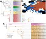 Phylogenetic characterization of DOBV combined with reservoir host and geographical distribution data. A) Maximum-likelihood tree based on all available complete DOBV sequences constructed using a transition plus empirical base frequencies plus gamma 4 substitution model. Colors indicate major clusters and hosts from which sequences were obtained. B) Distribution map of 2 major DOBV reservoir hosts, Apodemus flavicollis (blue) and A. agrarius (orange) mice, and their overlapping distribution zones. Solid circles indicate locations of complete sequences used in maximum-likelihood tree . C) Pruned version of the tree in panel A showing the division of the Mediterranean cluster into West and East Mediterranean subclusters. DOBV, Dobrava virus (Orthohantavirus dobravaense).