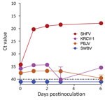 Simarterivirus infection of grivet embryonic kidney cell line in study of isolation of diverse simarteriviruses causing hemorrhagic disease. MA-104 cells were inoculated with SHFV at a multiplicity of infection of 1 and inoculated with KRCV-1, PBJV, or SWBV-1 by using sample volumes equivalent to that of SHFV (n = 3 experiments for each virus). Supernatants were collected at the indicated timepoints and quantitative reverse transcription PCR was used to measure simarterivirus nucleoprotein gene levels. Dashed line indicates limit of detection. Only SHFV replicated in grivet MA-104 cells. Ct, cycle threshold; KRCV-1, Kibale red colobus monkey virus 1; PBJV, Pebjah virus; SHFV, simian hemorrhagic fever virus; SWBV-1, Southwest baboon virus 1. 