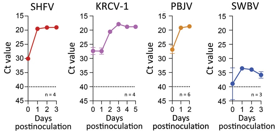 Ct values for virus-specific nucleoprotein RNA in macrophages infected with diverse simarteriviruses causing hemorrhagic disease. Induced pluripotent stem cell–derived macrophages from crab-eating macaques were infected with different simarteriviruses. Virus-specific nucleoprotein RNA was measured by using quantitative reverse transcription PCR on different days after inoculation. Dotted lines indicate limit of detection. Error bars indicate SEMs. Ct, cycle threshold; dpi, days after inoculation; iPSC, induced pluripotent stem cell; KRCV-1, Kibale red colobus monkey virus 1; LoD, limit of detection; PBJV, Pebjah virus; SHFV, simian hemorrhagic fever virus; SWBV-1, Southwest baboon virus 1.