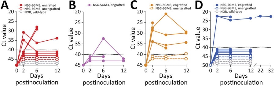 Ct values for virus-specific nucleoprotein RNA in mice engrafted with rhesus monkey immune cells infected with diverse simarteriviruses causing hemorrhagic disease. NSG-SGM3 (NOD.Cg-Prkdcscid Il2rgtm1Wjl Tg[CMV-IL3,CSF2,KITLG]1Eav/MloySzJ) mice were engrafted with fetal CD34+-enriched hematopoietic stem and progenitor cells isolated from rhesus monkeys. Engrafted and unengrafted NSG-SGM3 transgenic mice and background-matched wild-type NOR/LtJ mice were injected intraperitoneally and intravenously with 1 of 4 viruses: A) simian hemorrhagic fever virus; B) Kibale red colobus monkey virus 1; C) Pebjah virus; or D) Southwest baboon virus 1. Production of virus-specific nucleoprotein RNA in blood was measured over time by using quantitative reverse transcription PCR. Dotted lines indicates limit of detection. Ct, cycle threshold.
