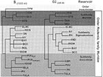 Thumbnail of Phylogeny of hantaviruses and their relationships to natural reservoirs. The trees were constructed by comparing the complete coding regions of the S segments of hantaviruses or of 330 nucleotides corresponding to those of the M segment of Hantaan virus (strain 76118) from nucleotides 1987 to 2315. Abrreviations for viruses are as in Table 1. For each analysis, a single most parsimonious tree was derived by using PAUP 3.1.1 software. For the S segment tree, boostrap values resulting