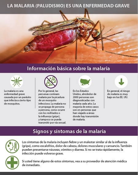 La malaria (paludismo) es una enfermedad grave