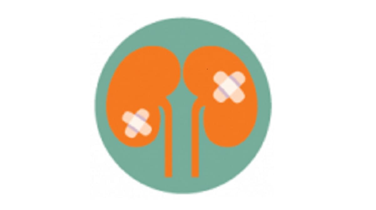 Illustration of kidneys with bandaids on them