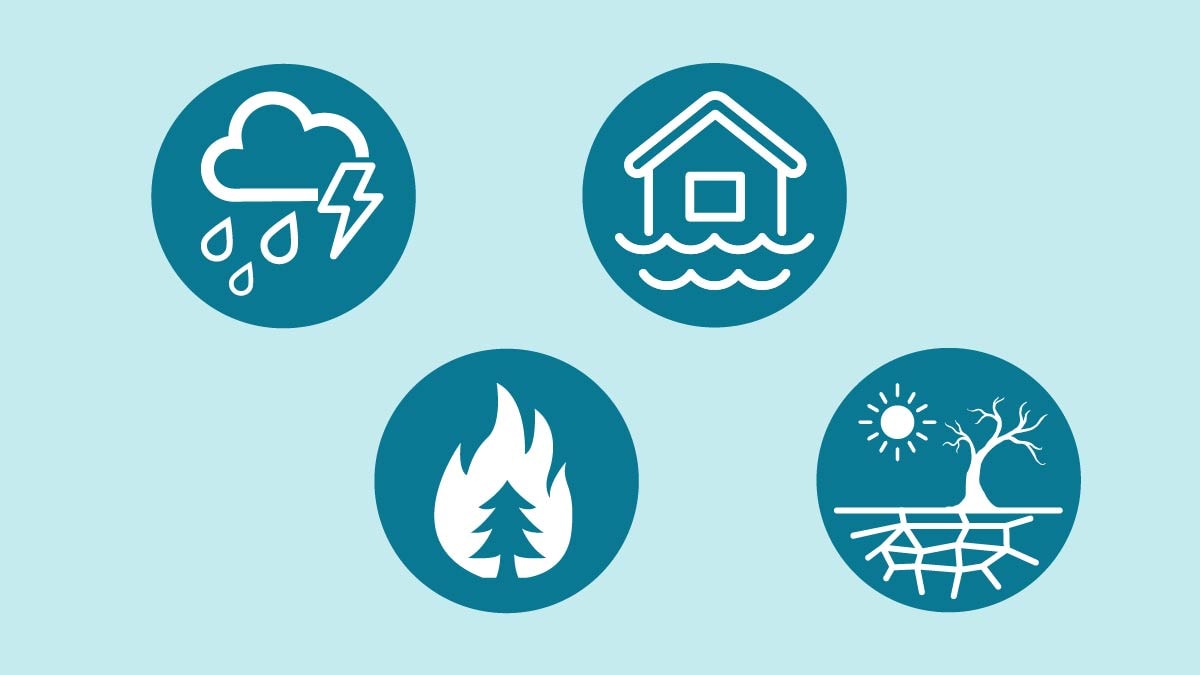 Cartoon depiction of four icons in white against blue backgrounds portraying a raincloud, tree on fire, desert, and a flooded house.