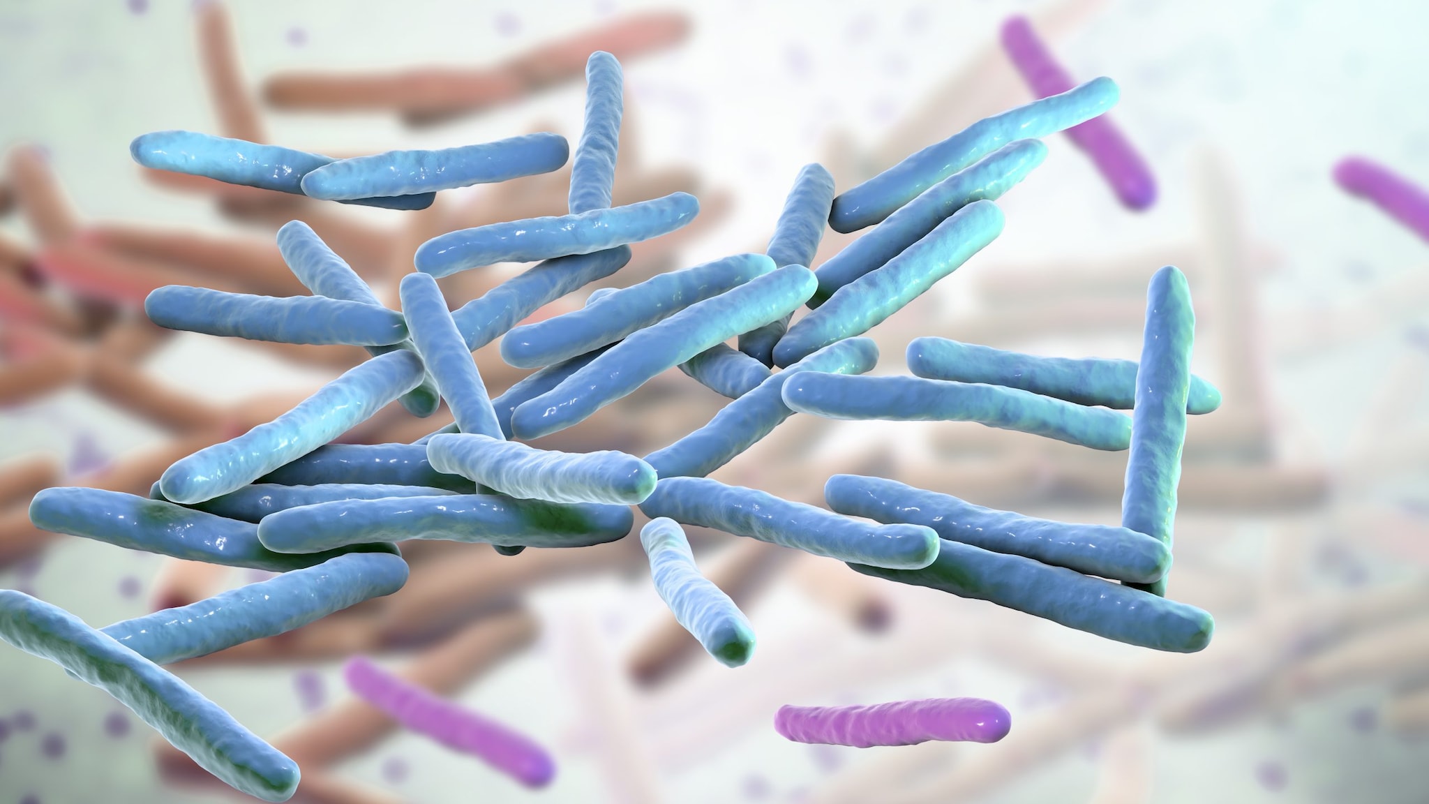 A 3-D illustration of Mycobacterium leprae