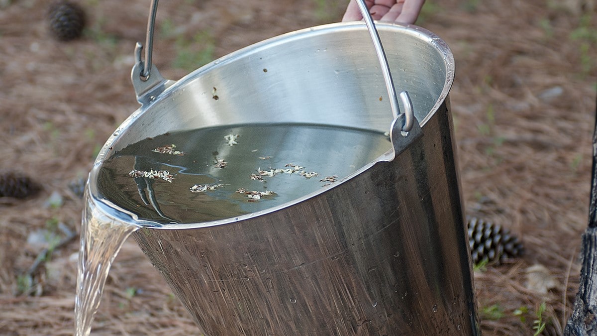 Photo showing a person dumping standing water to remove places where mosquitoes lay eggs.