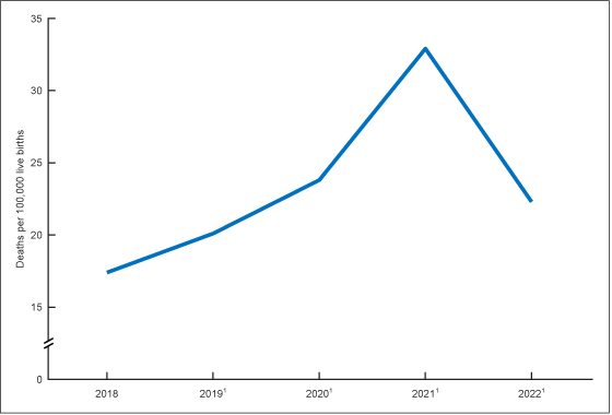 Figure 1 is a line graph of the maternal mortality rate for 2018–2022. 