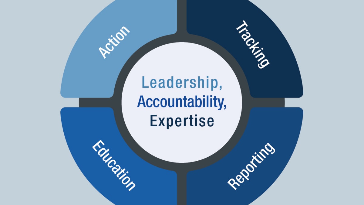Leadership, Accountability, Expertise circle graphic