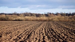 A field of soil.