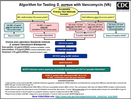 Vancomycin-Intermediate/Resistant Staphylococcus aureus Laboratory Testing Algorithm