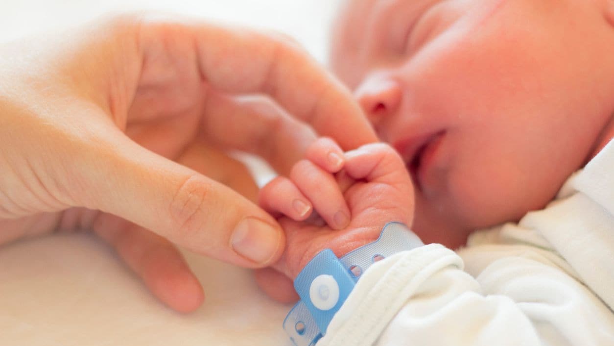 Newborn baby holding hands with adult