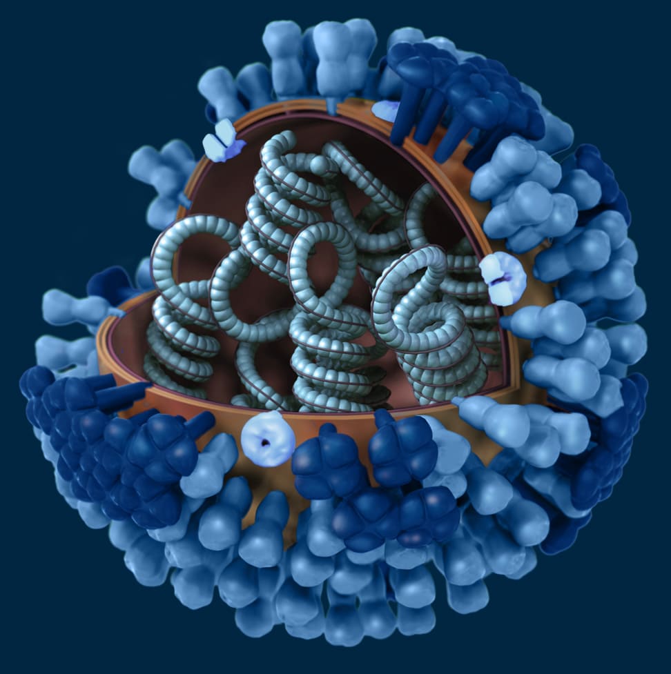 CDC H1N1 Flu Images Of The H1N1 Influenza Virus