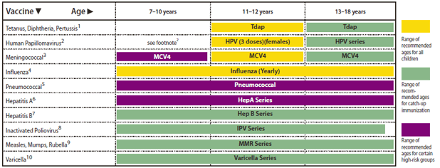 The figure shows the recommended immunization schedule for persons aged 7 through 18 years in the United States, 2011. A green bar indicating the range of recommended ages for catch-up immunization with the 'MMR Series' should have extended across all three age ranges: 7–10 years, 11–12 years, and 13–18 years. The corrected figure is above. 